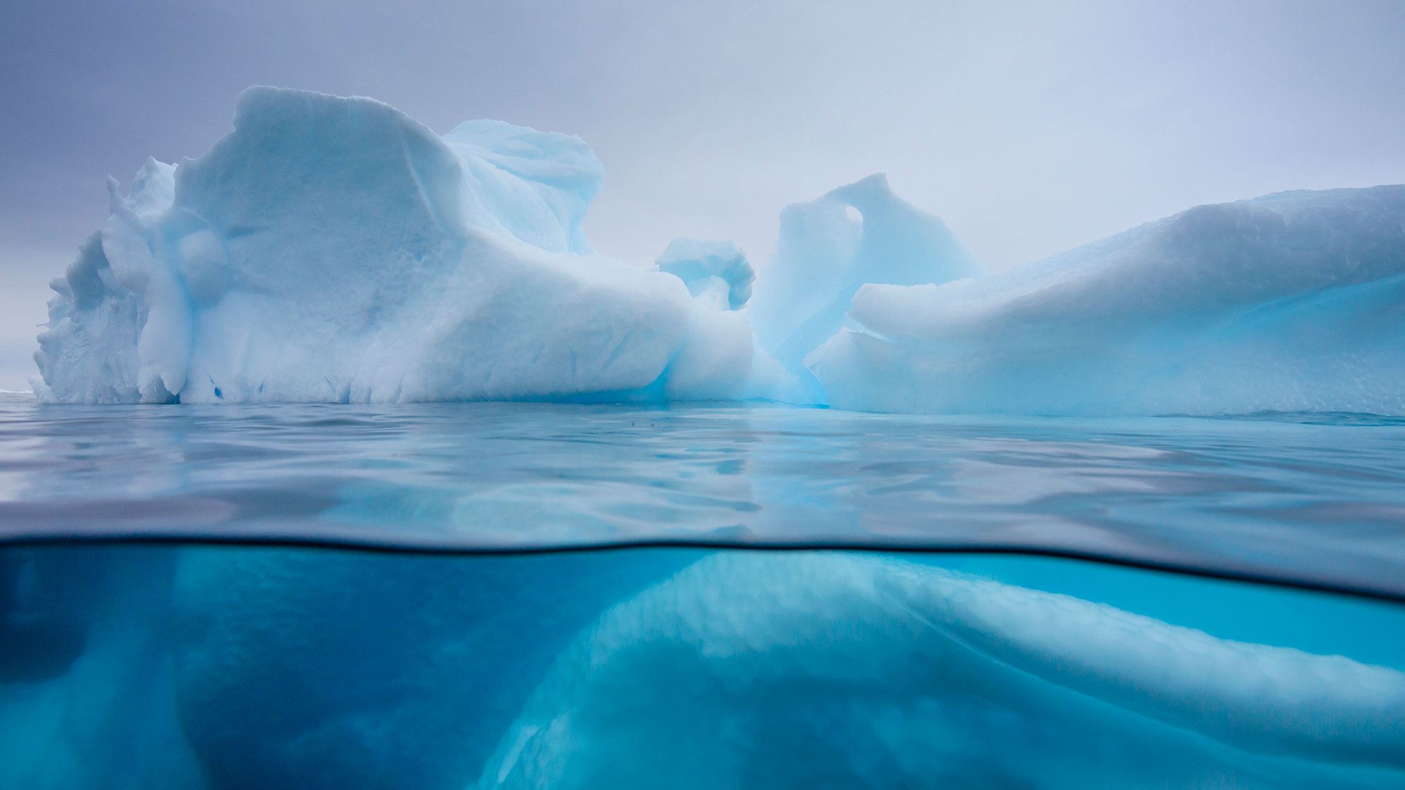 Climate Change Reporting: Are You Ready? | Insights | Torys LLP